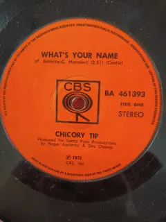 Chicory Tip – What's Your Name (Vinyl, 7")