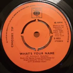 Chicory Tip CBS – What's Your Name (Vinyl, 7")