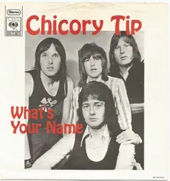 Chicory Tip – What's Your Name (Vinyl, 7")