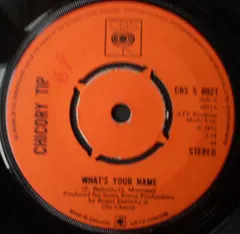 Chicory Tip – What's Your Name (Vinyl, 7")