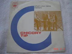 Chicory Tip – What's Your Name (Vinyl, 7")