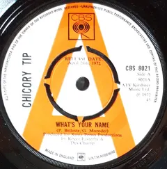 Chicory Tip CBS – What's Your Name (Vinyl, 7")