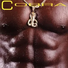 Cobra* – Cobra (Vinyl, LP)