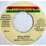 Cocoa Tea & Sizzla – Bruk Down