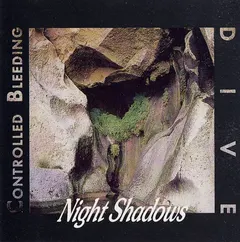 Controlled Bleeding & Dive – Night Shadows (CD, Album)