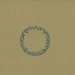 Cosmin TRG – Panoramic (Vinyl, 12")