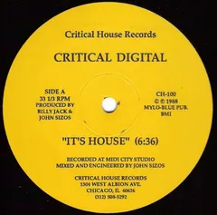 Critical Digital – It's House (Vinyl, 12")