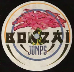 Cryptic Force – Berliner (Vinyl, 12")