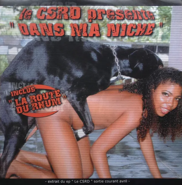 CSRD – Dans Ma Niche