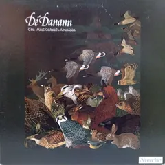 Dé Danann* – The Mist Covered Mountain (Vinyl, LP)