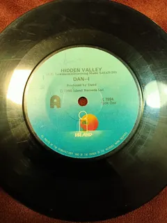 Dan-I Island Records – Hidden Valley (Vinyl, 7")