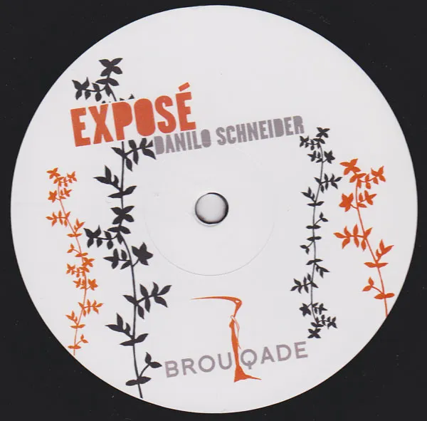 Danilo Schneider – Exposé