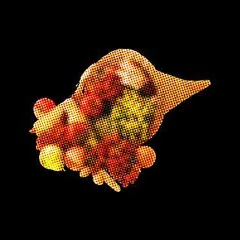 Dark Time Sunshine – Cornucopia (CD, Album)
