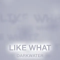 Darkwater – Like What (File, MP3)