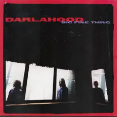 Darlahood – Big Fine Thing (CD, Album)