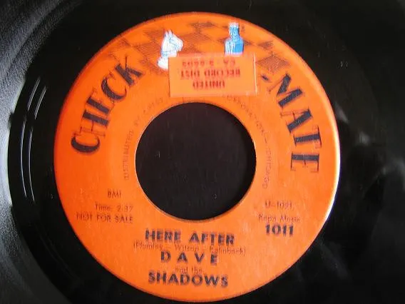 Dave And The Shadows – Here After / Blue Down