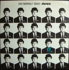 David* – Am I Normal? (Vinyl, 12")