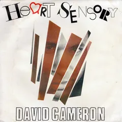 David Cameron (4) – Heart Sensory (Vinyl, 7")