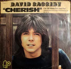 David Cassidy – Cherish (Vinyl, 7")