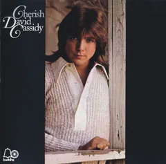 David Cassidy – Cherish (CD, Album)