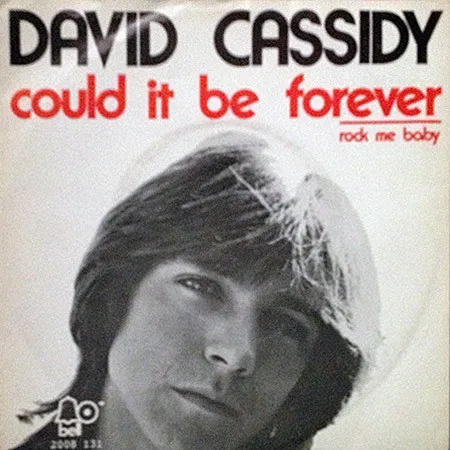 David Cassidy – Could It Be Forever