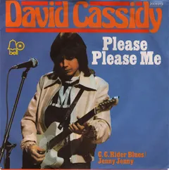 David Cassidy – Please Please Me (Vinyl, 7")