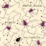 David Dunn – Angels And Insects (CD, Album)