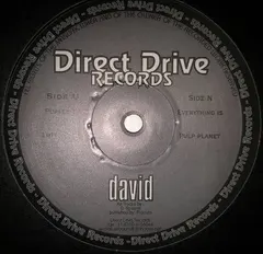 David – Everything Is (Vinyl, 12")