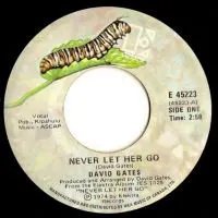 David Gates – Never Let Her Go (Vinyl, 7")