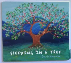 David Gopoian – Sleeping In A Tree (CD)