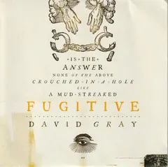 David Gray – Fugitive (Vinyl, 7")