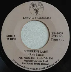 David Hudson (2) – Different Lady (Vinyl, 7")