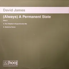 David James – (Always) A Permanent State (Vinyl, 12")