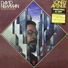 David Newman* – Lonely Avenue (Vinyl, LP)