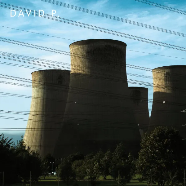 David P.* – David P.