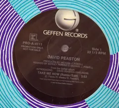 David Peaston – Take Me Now (Vinyl, 12")