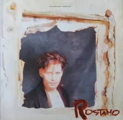David Rostamo – Slum Lord (Vinyl, 12")