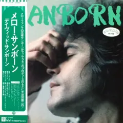 David Sanborn – Sanborn (Vinyl, LP)