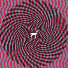 Deerhunter – Cryptograms (CD, Album)