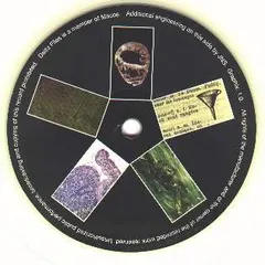 Delta Files – Acpklenc (Vinyl, 12")