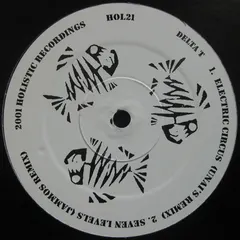 Delta T – Electric Circus (Vinyl, 12")