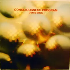 Denis Wize* – Consciousness Program (Vinyl, LP)