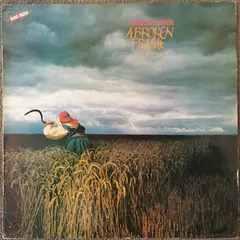 Depeche Mode – A Broken Frame = Una Estructura Rota (Vinyl, LP)