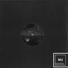 Developer – Western Ways EP (Vinyl, 12")