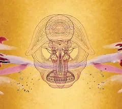 Devendra Banhart – What Will We Be (CD, Album)