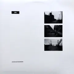 DFA* – Microstructural Characterization (Vinyl, 12")