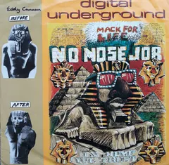 Digital Underground Liberation Records – No Nose Job (Vinyl, 12")