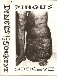 Dingus / Sockeye – Dingus / Sockeye Split Tape (Cassette, Album)