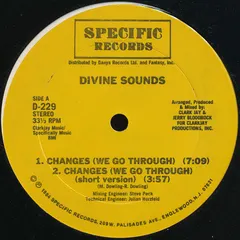 Divine Sounds – Changes / Do Or Die Bed Sty (Vinyl, 12")