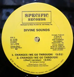 Divine Sounds Specific Records – Changes / Do Or Die Bed Sty (Remix) (Vinyl, 12")